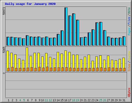 Daily usage for January 2020