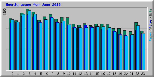 Hourly usage for June 2013
