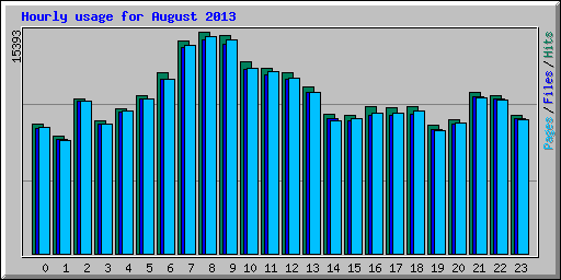 Hourly usage for August 2013