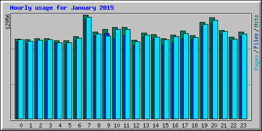 Hourly usage for January 2015