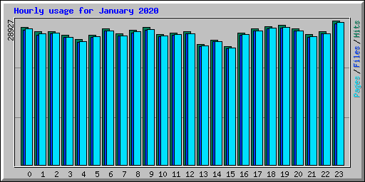 Hourly usage for January 2020